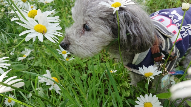 お支払いについて