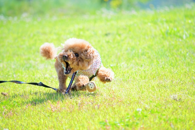 年末年始の営業