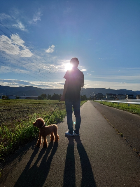 ペット年齢早見表（44歳の場合）