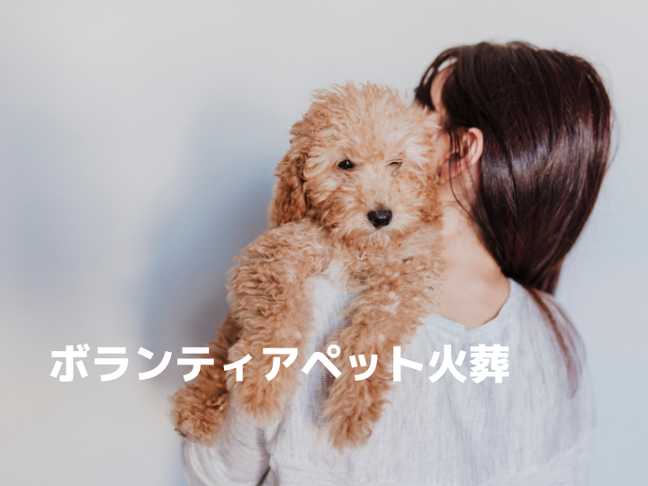 ボランティアペット火葬について