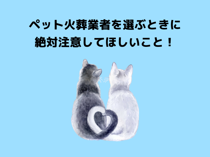 ペット火葬業者を選ぶときに絶対注意してほしいこと！