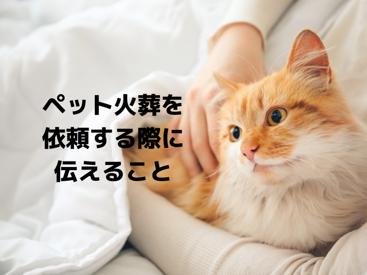 ペット火葬を依頼する際に伝えること