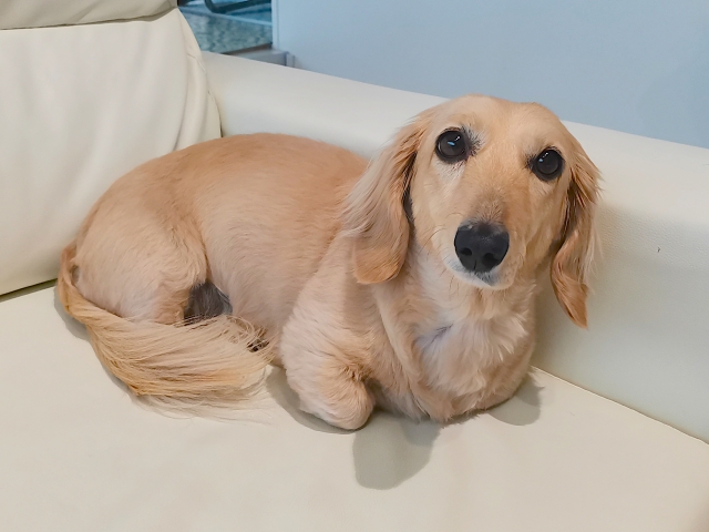 おくりびとプラン