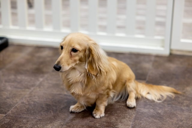 口コミをお願いします!