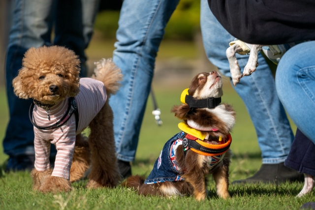 ぬくもりプラン