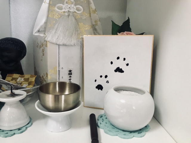 ペットに対する想い