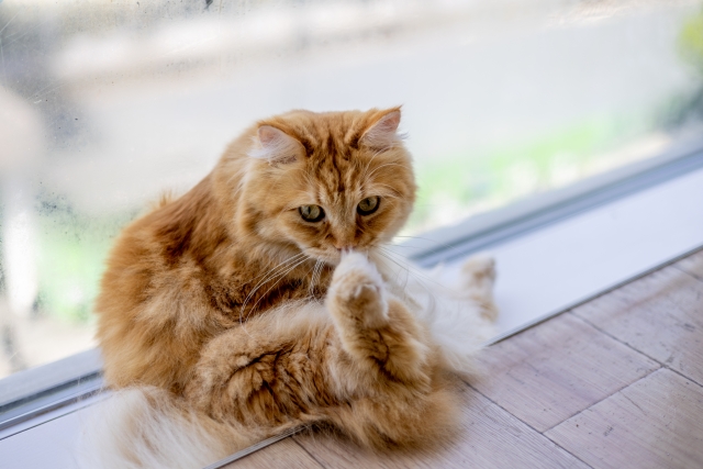 お迎えについて