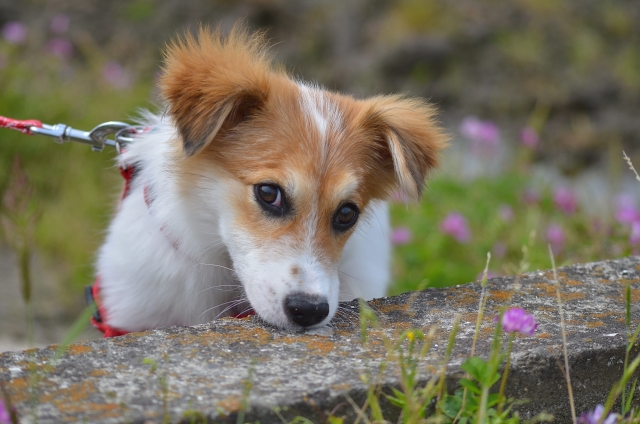 電話受付について