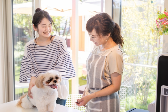 ペットの熱中症対策について