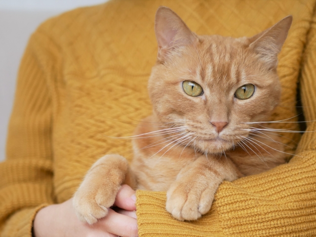 2023年3月法要会のお知らせ