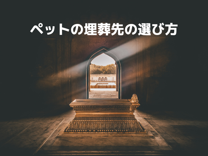 ペットの埋葬先の選び方