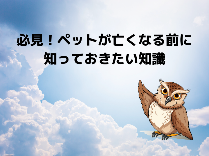 必見！ペットが亡くなる前に知っておきたい知識