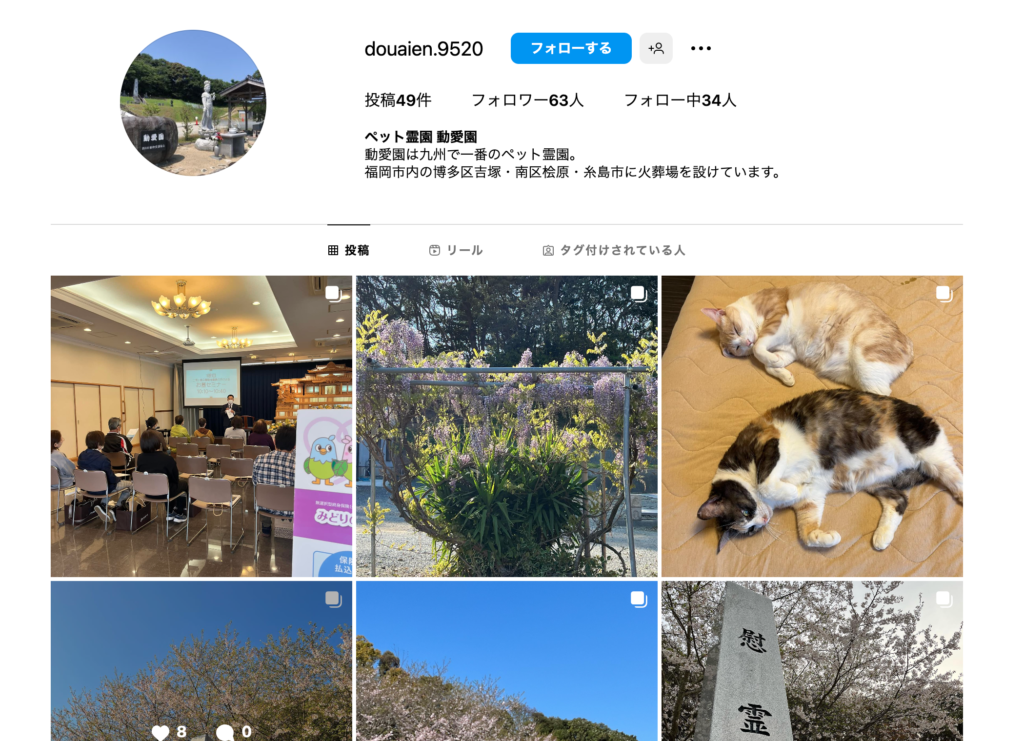 インスタグラム