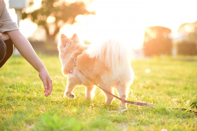 定例法要会のお知らせ